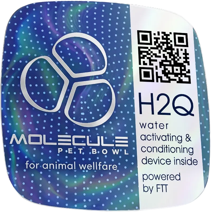 Close-up of the genuine blue H2Q module with its original MOLECULE label
